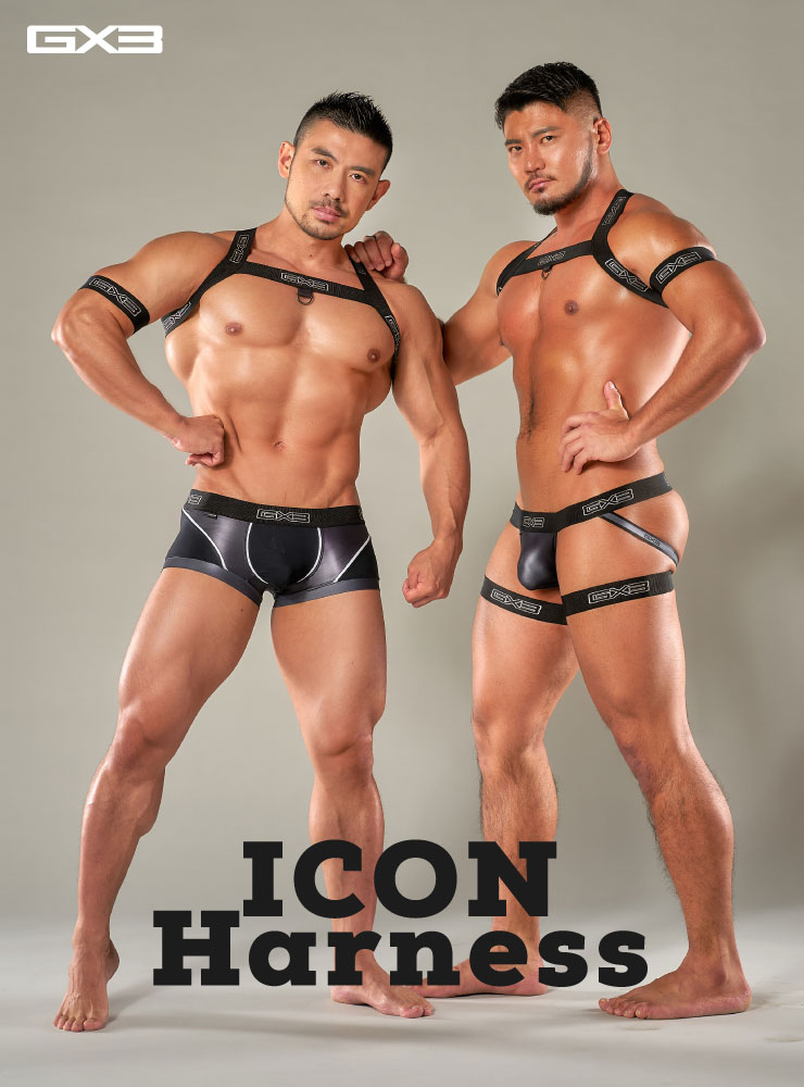 FUSION ICON HARNESS