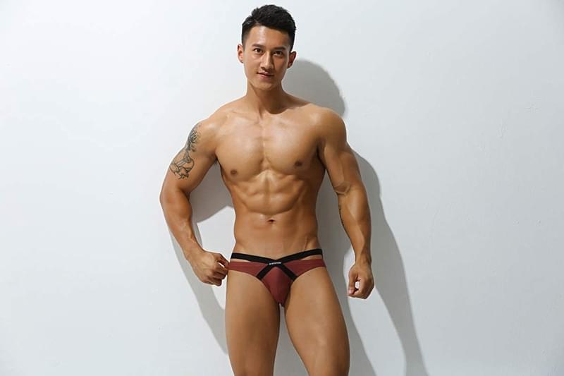 Mesh Bikini Brief