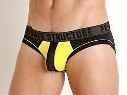 Platinum Modal Mini Brief Underwear