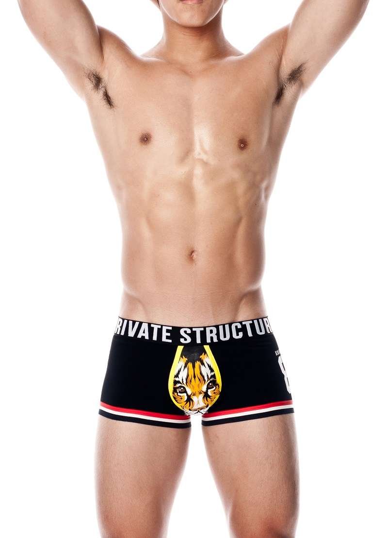 Design Series Sports Gone Wild Trunk - | Private Structure - | MAD Lifestyle
