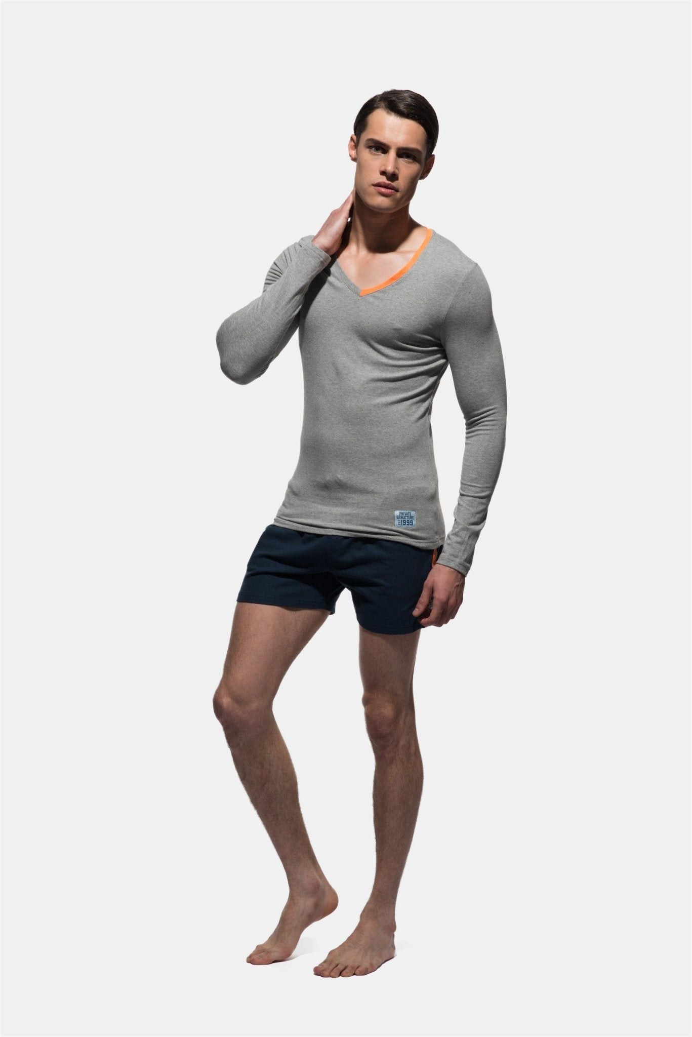 Fitted V Neck Long Sleeve Tee - | Private Structure - | MAD Lifestyle
