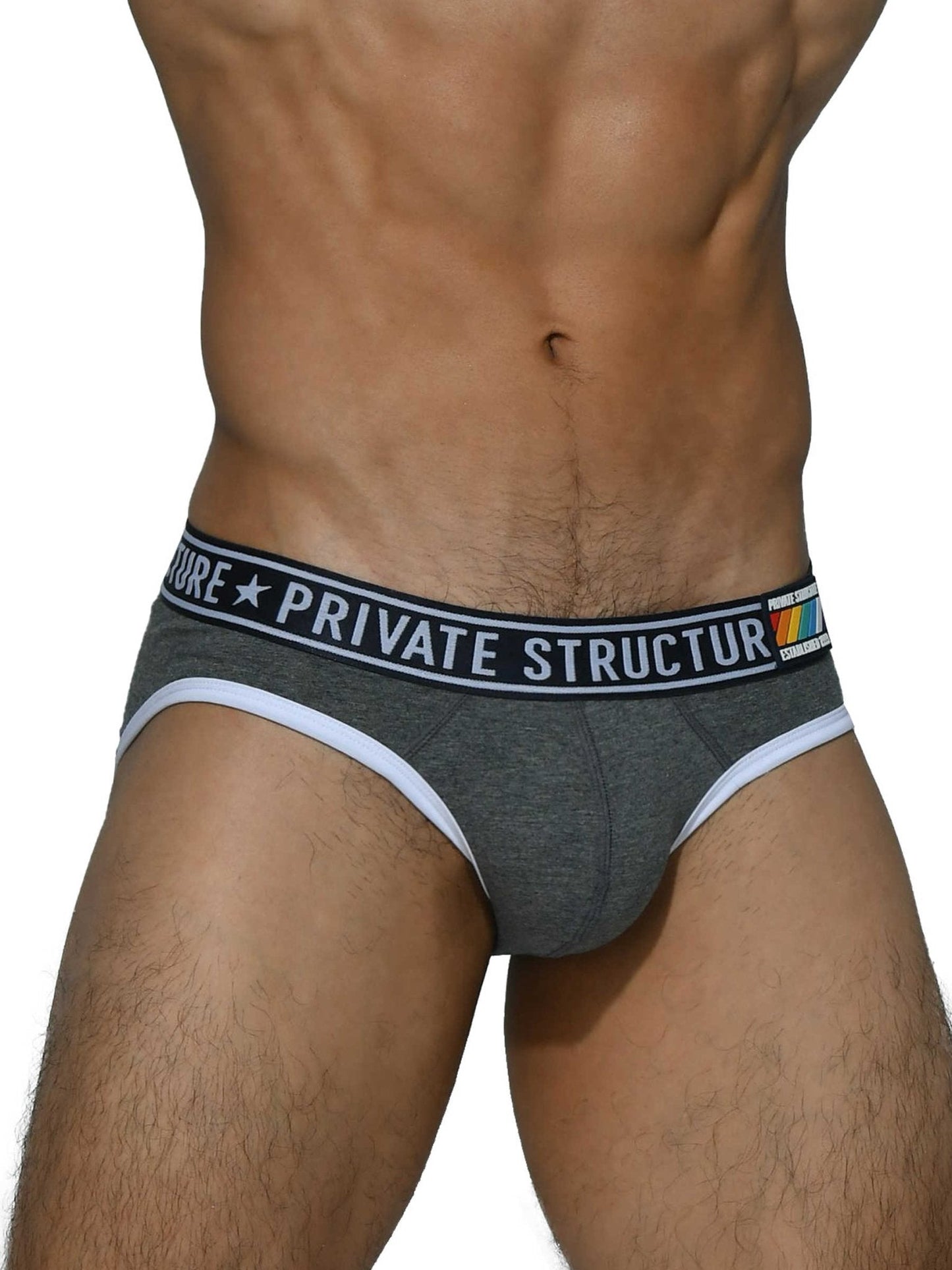 Pride Mini Brief - Shade Grey - | Private Structure - | MAD Lifestyle