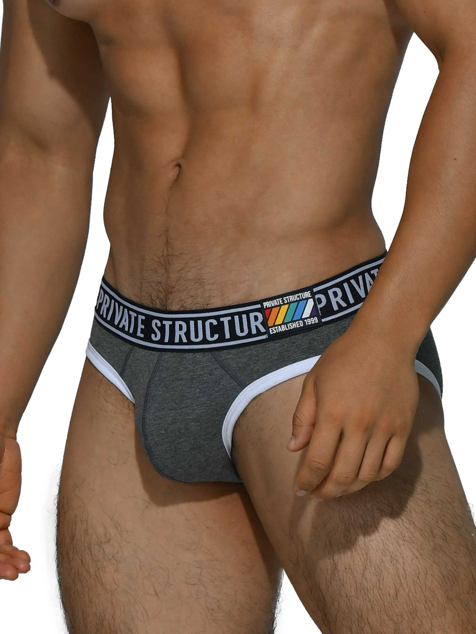 Pride Mini Brief - Shade Grey - | Private Structure - | MAD Lifestyle