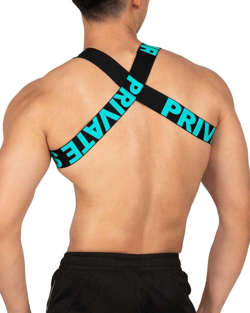 Body Harness